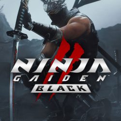 NINJA-GAIDEN-2-Black-pc-cover-large